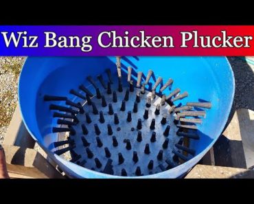 Essential Chicken Plucker Parts: A Guide for Efficient Poultry Processing