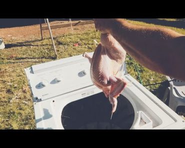 Effortless Feather Removal: Unleashing the Power of a Hand Crank Chicken Plucker
